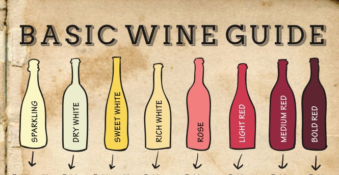Easy Basic Wine Guide - Pairing - Glasses